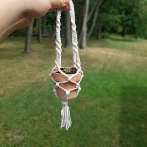 Handmade mini planter choice of pot succulent